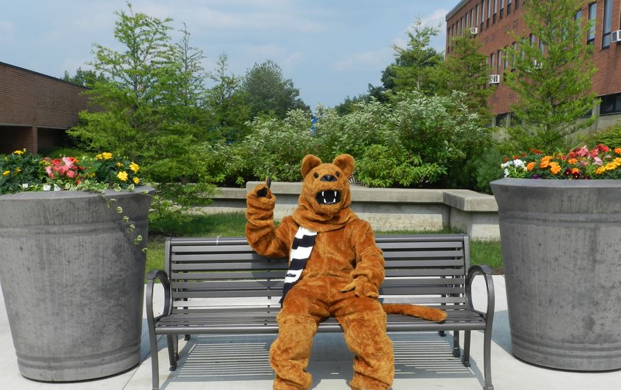 PSWS Nittany lion on bench