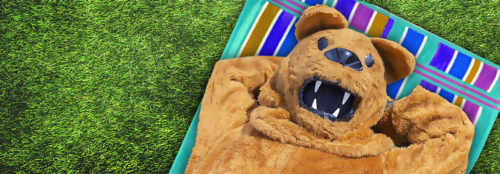 Niitany Lion mascot relaxes on a  beach towel in the grass.
